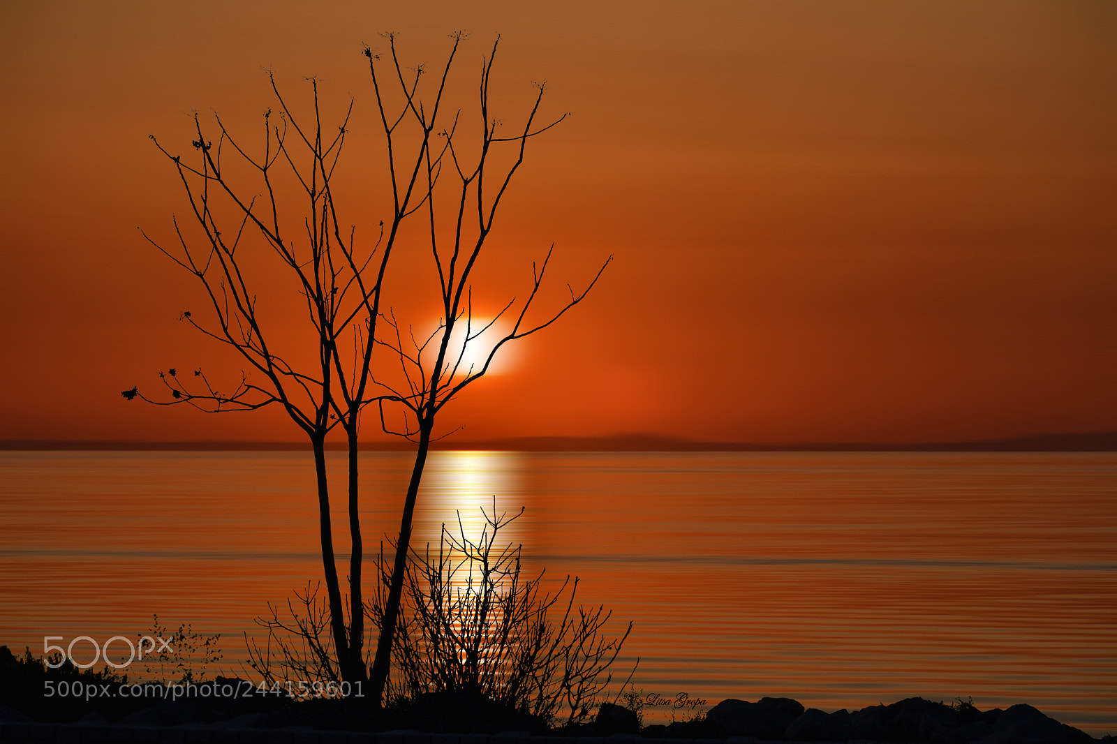 Nikon D5600 sample photo. Sunset photography
