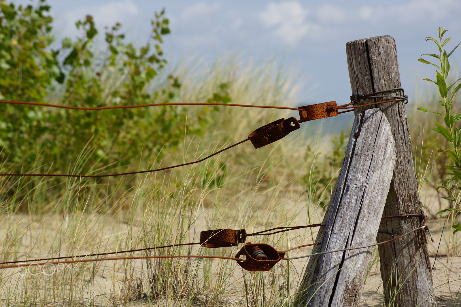 Sony SLT-A77 + Sony DT 18-135mm F3.5-5.6 SAM sample photo. Beach fence photography