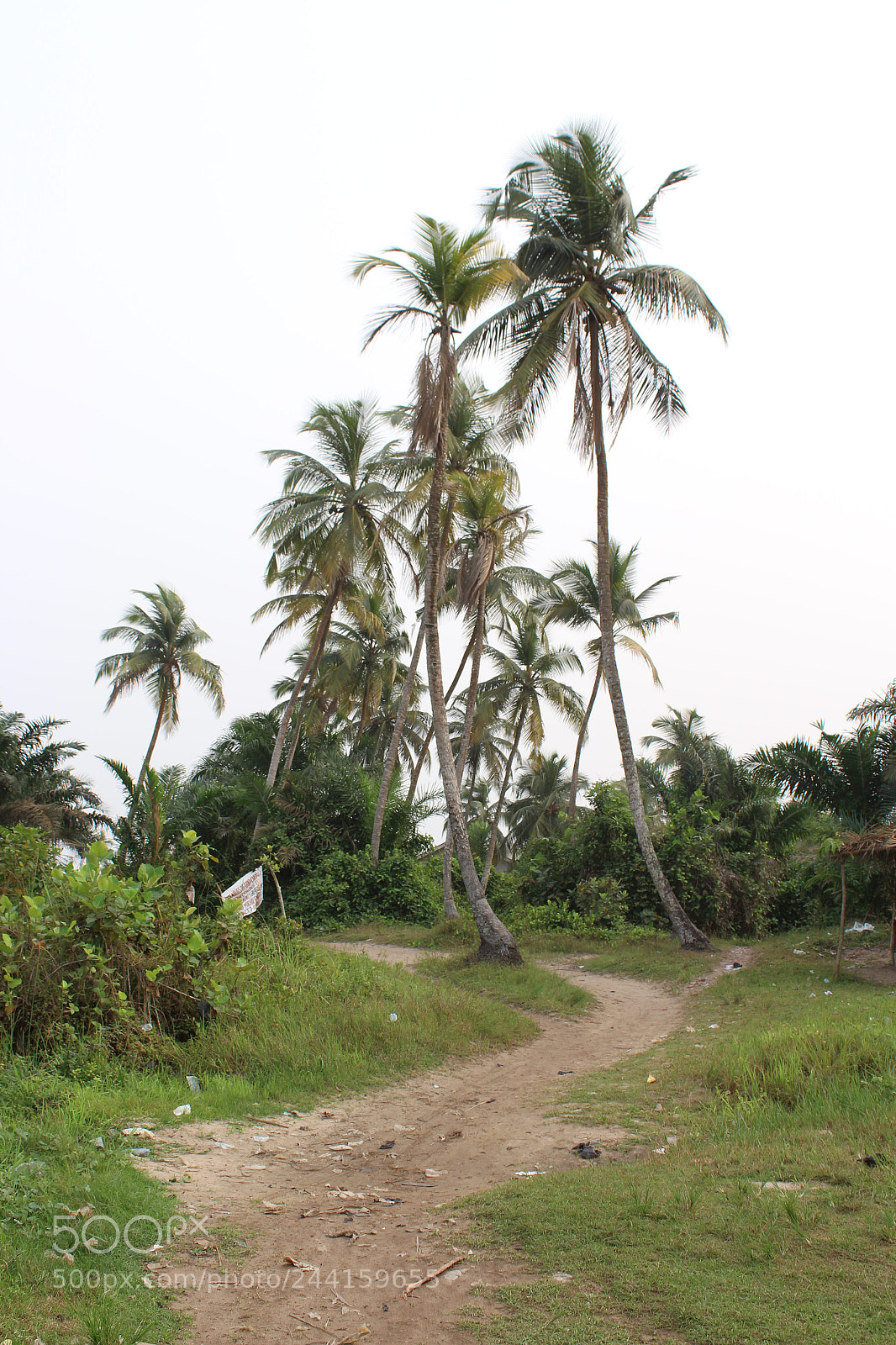 Canon EOS 1300D (EOS Rebel T6 / EOS Kiss X80) sample photo. 1840's slave route,badary,lagos nigeria photography
