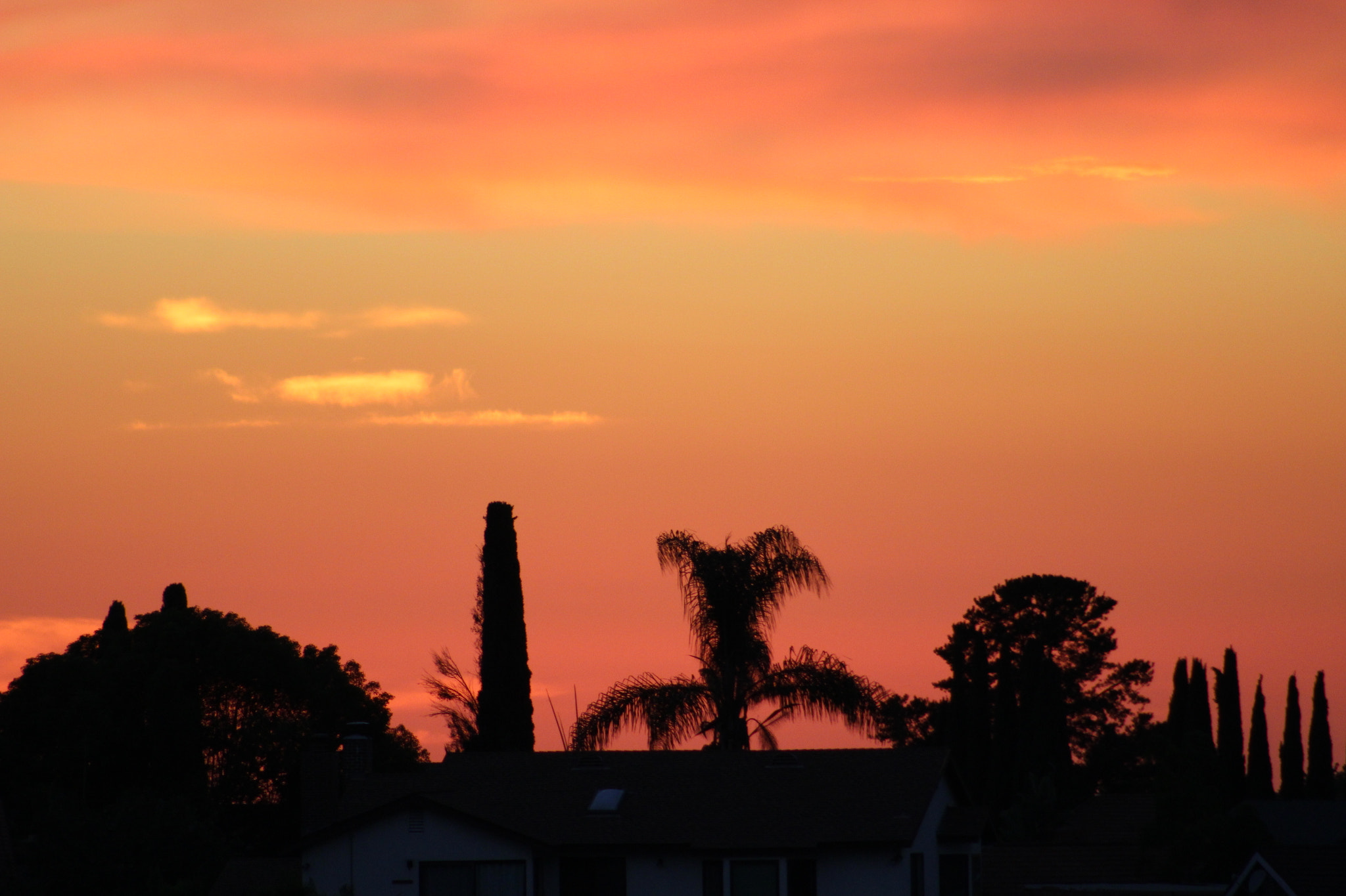 Canon EOS 1200D (EOS Rebel T5 / EOS Kiss X70 / EOS Hi) + EF75-300mm f/4-5.6 sample photo. Socal photography