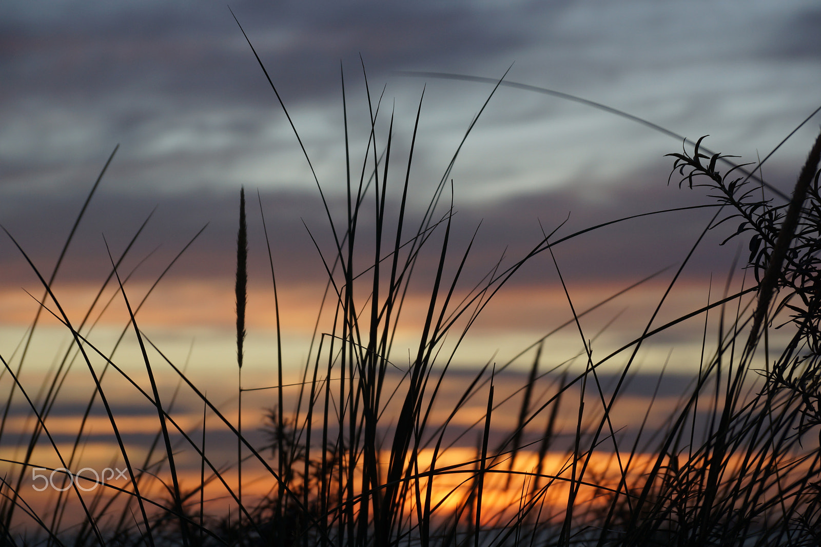 Sony DT 18-135mm F3.5-5.6 SAM sample photo. Sunset photography