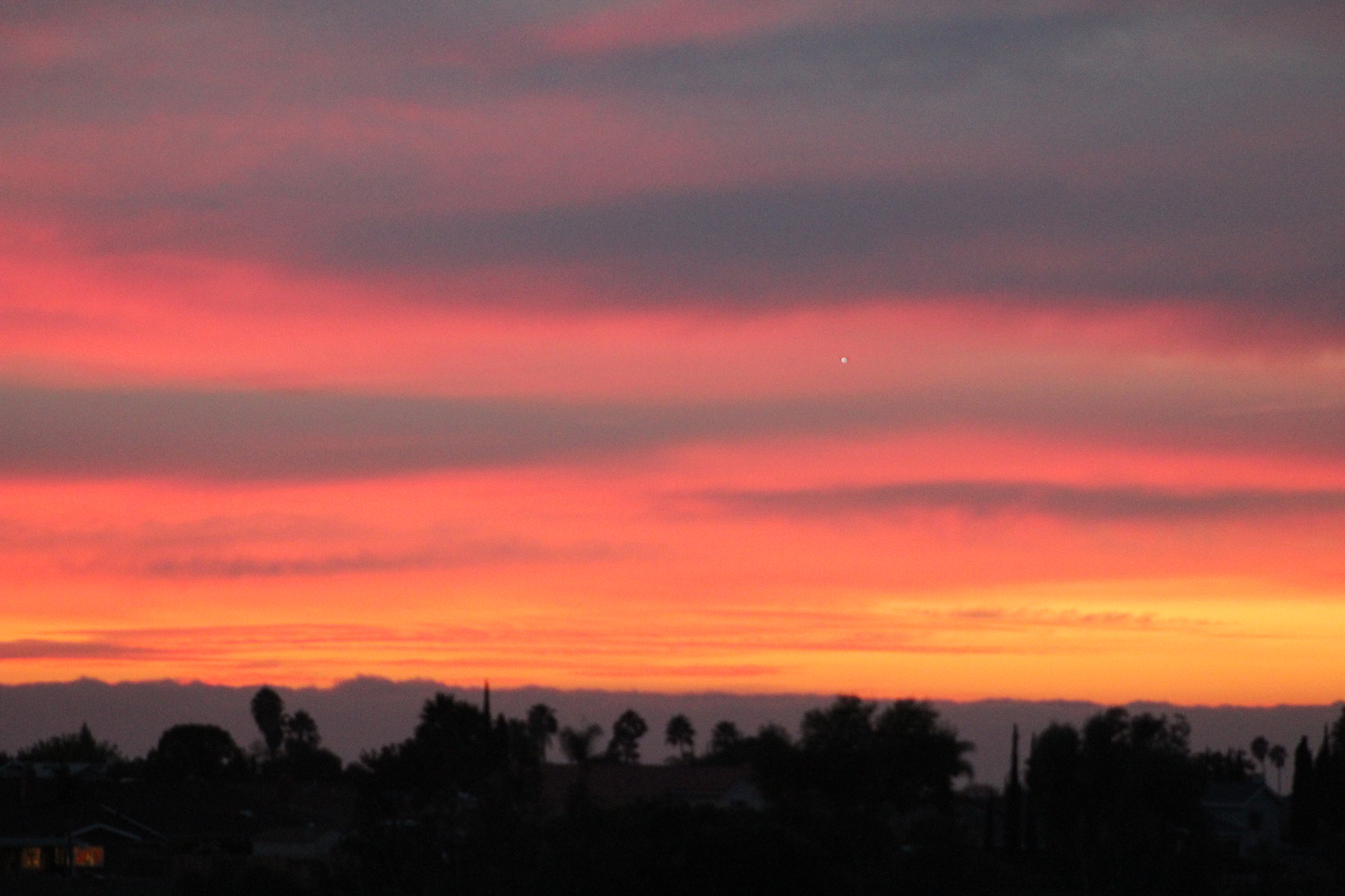 Canon EOS 1200D (EOS Rebel T5 / EOS Kiss X70 / EOS Hi) + EF75-300mm f/4-5.6 sample photo. Socal photography