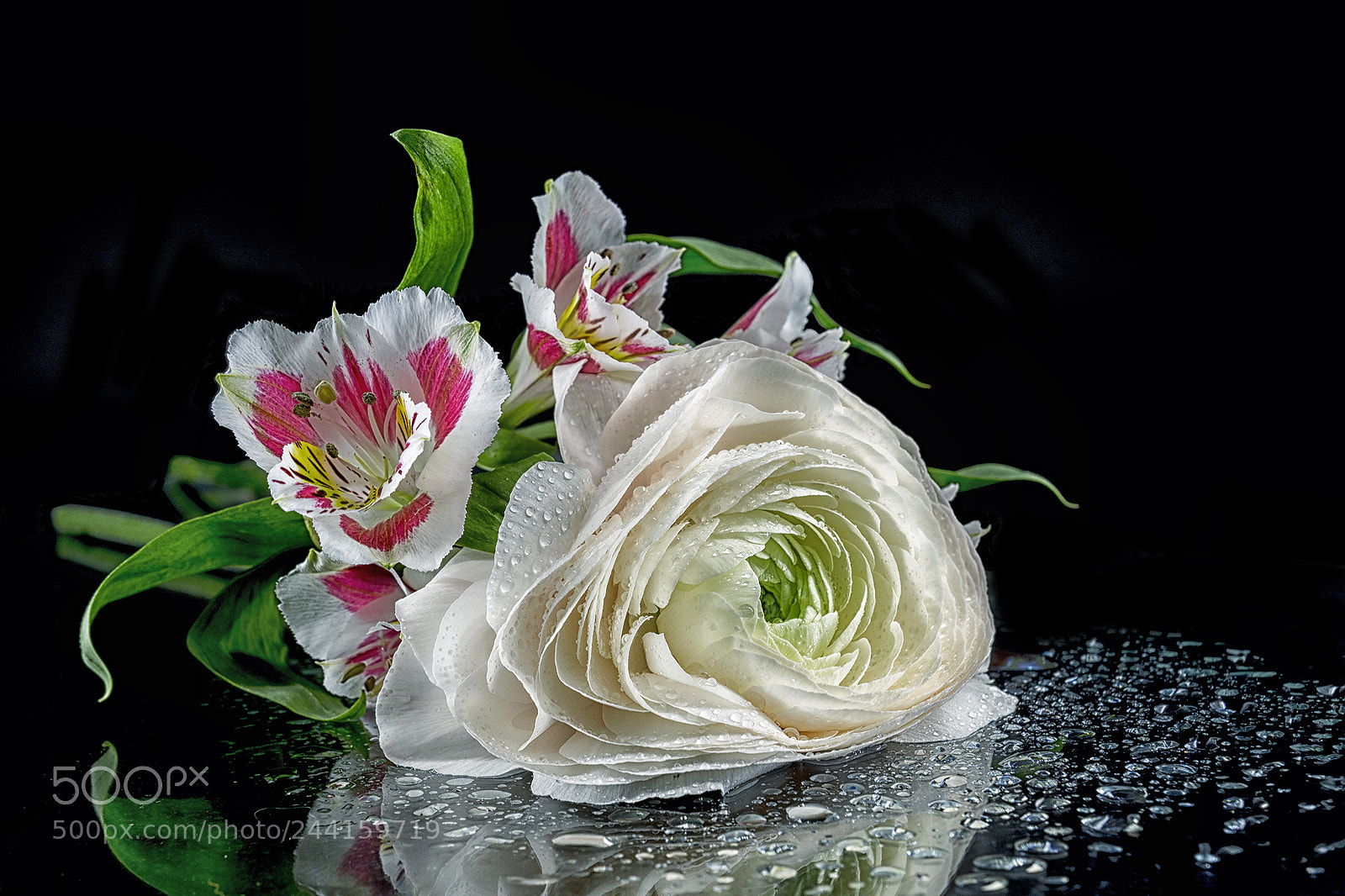 Nikon D7500 sample photo. Blume photography