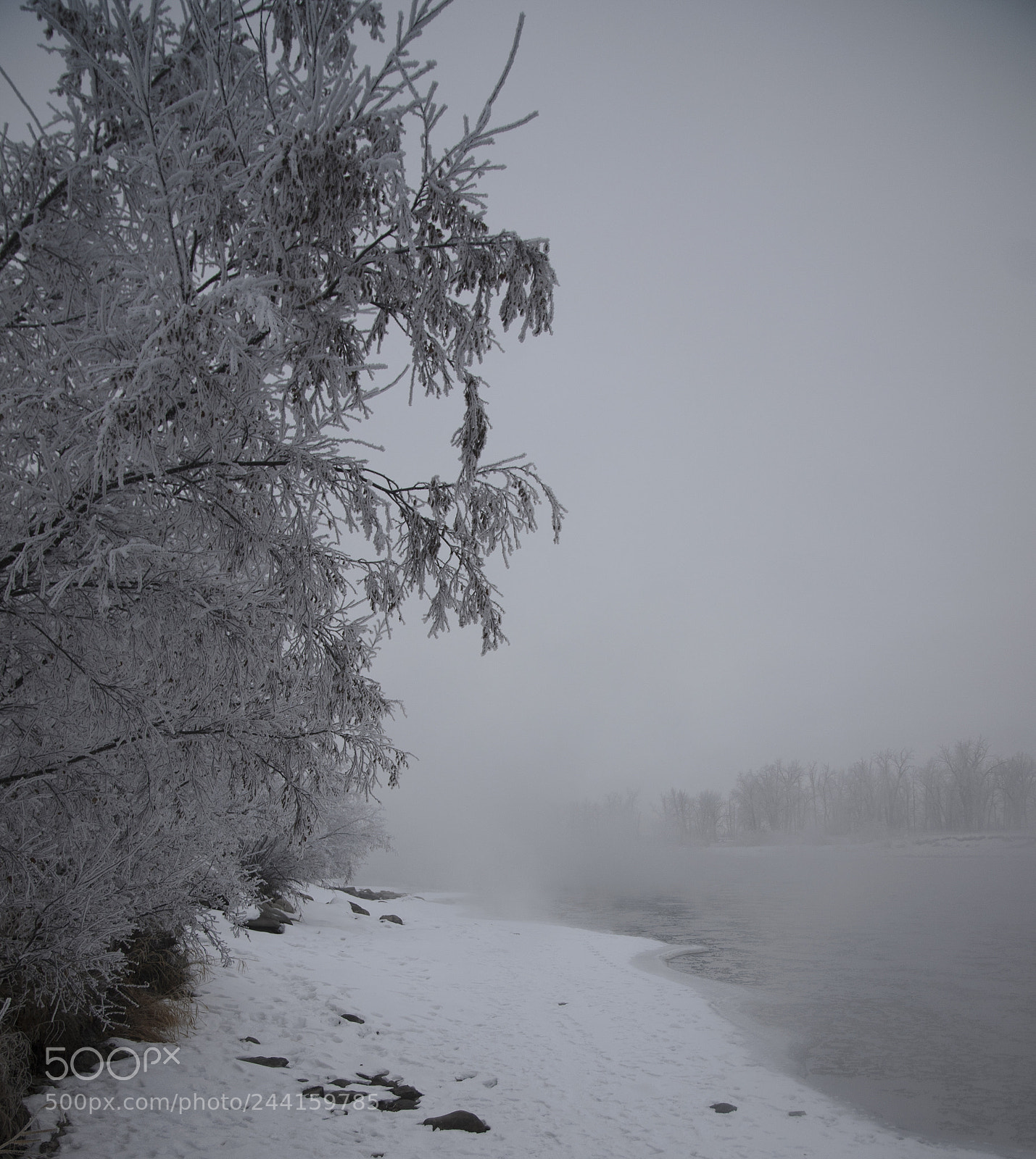 Nikon D7000 sample photo. Frosty foggy morning on photography