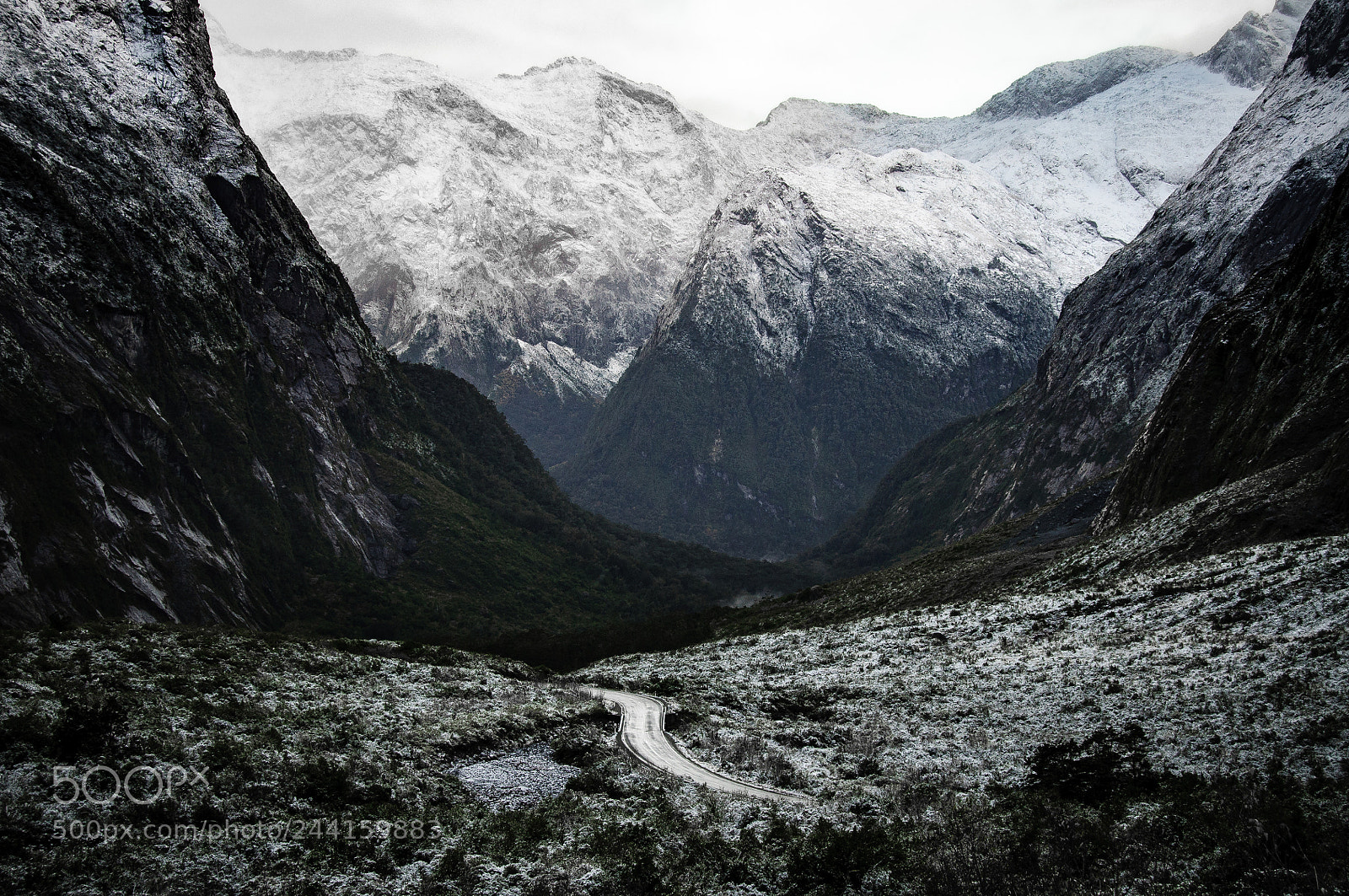 Nikon D90 sample photo. Milford sound photography