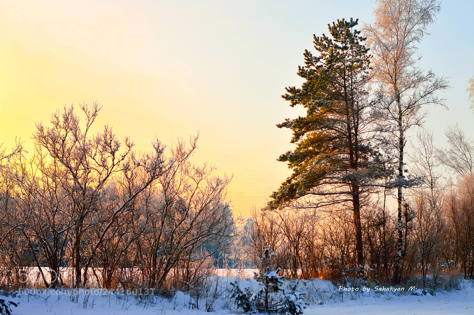 Nikon D3200 sample photo. Восход солнца в Наро-Фоминске photography