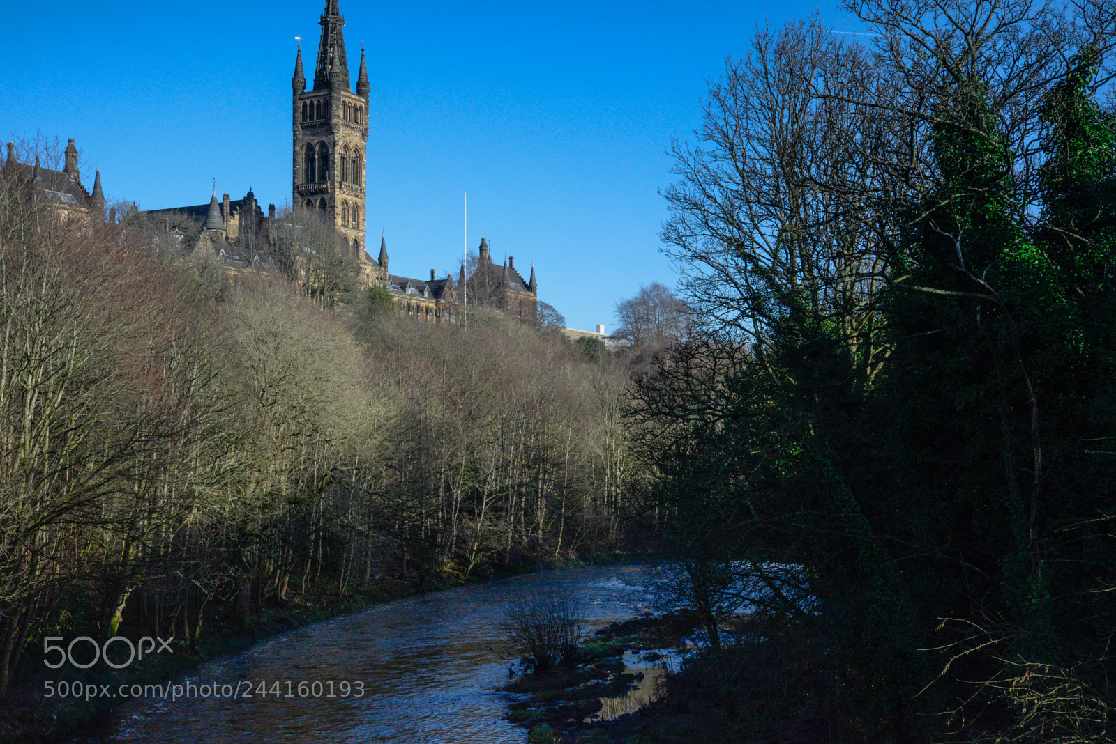 Nikon D610 sample photo. Glasgow university. photography