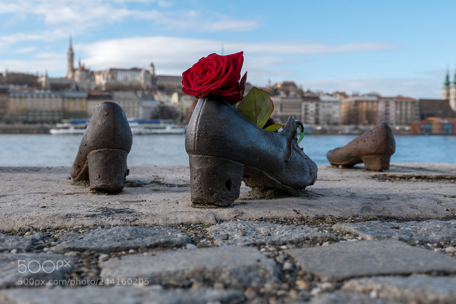 Panasonic Lumix DMC-LX100 sample photo. Una rosa per non photography