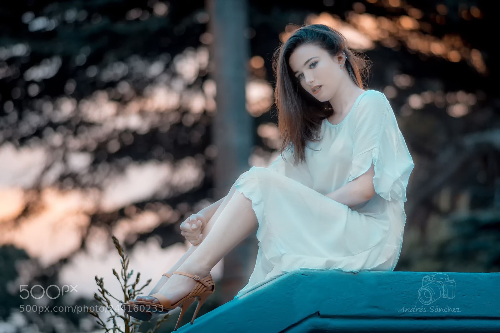 Nikon D7100 sample photo. Chia photography