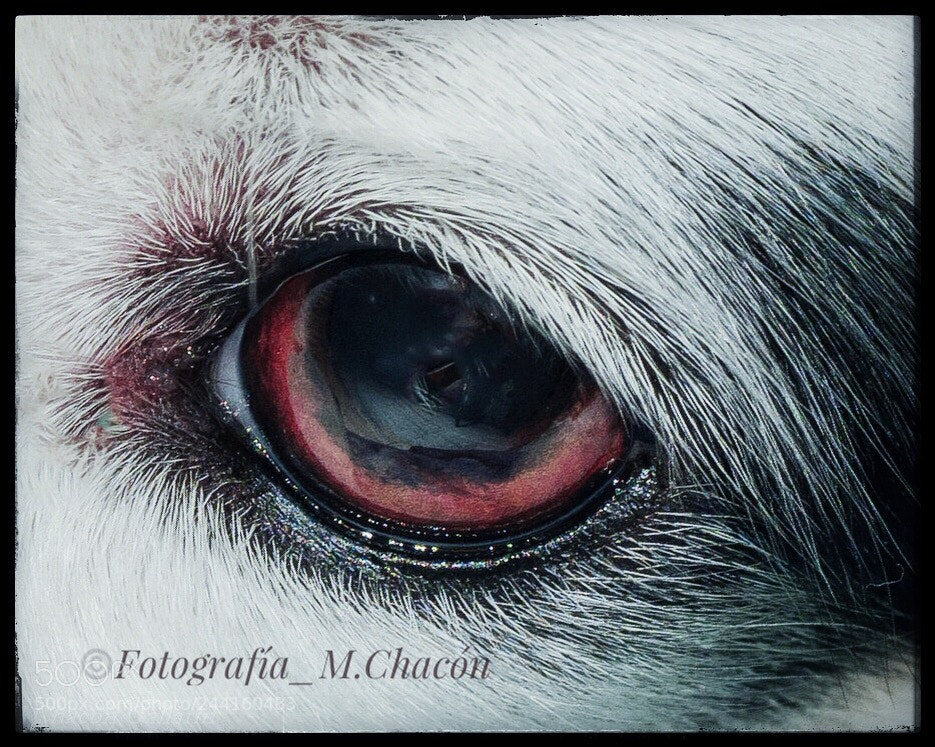 Olympus OM-D E-M1 Mark II sample photo. Untitled photography