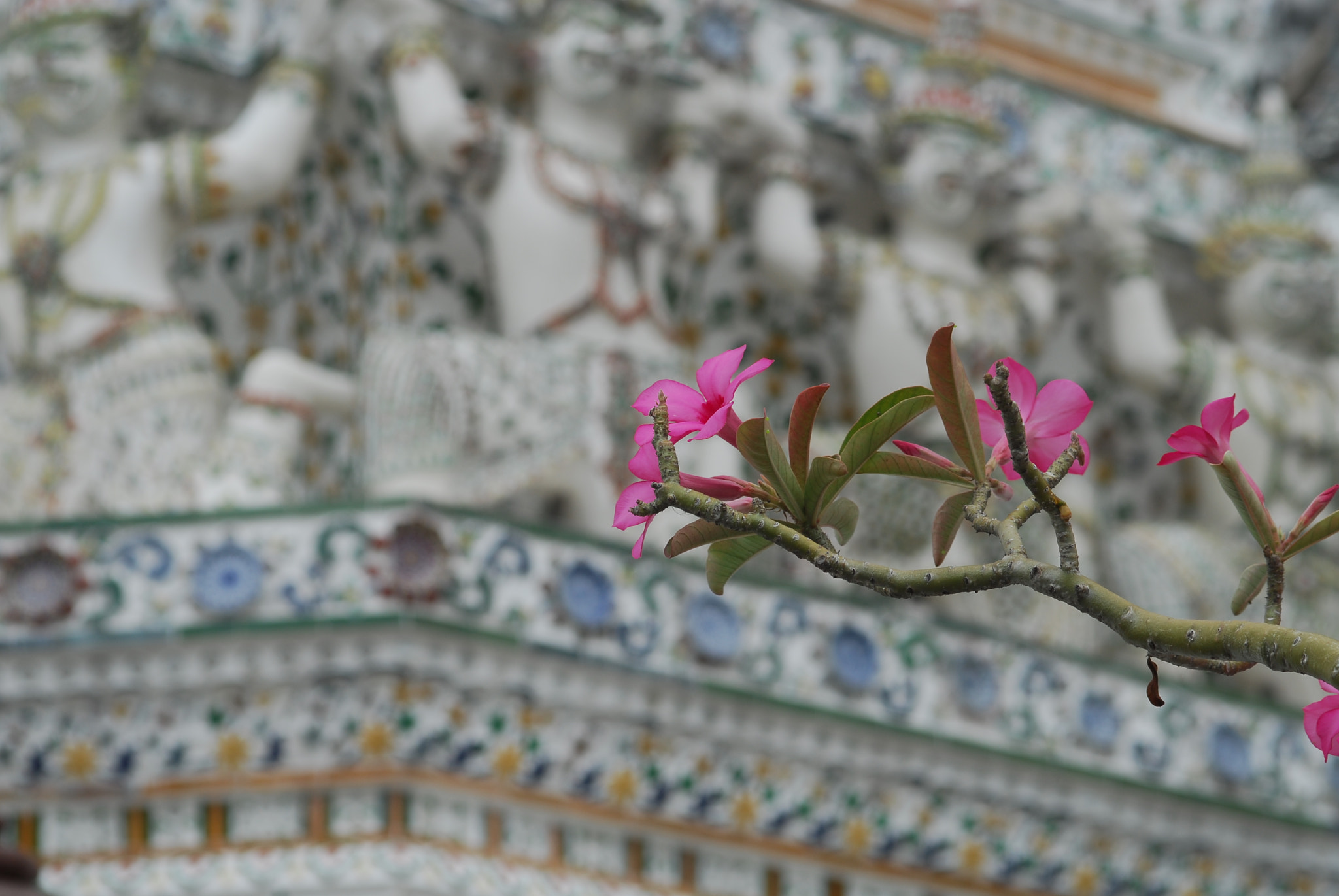 Sigma 24-70mm F2.8 EX DG Macro sample photo. Wat arun, detail photography