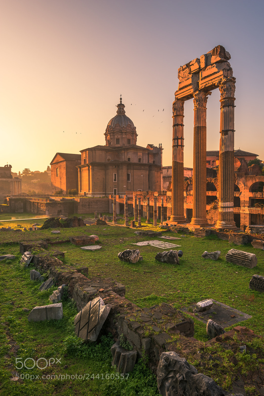 Nikon D800 sample photo. Forum romanum at sunrise photography