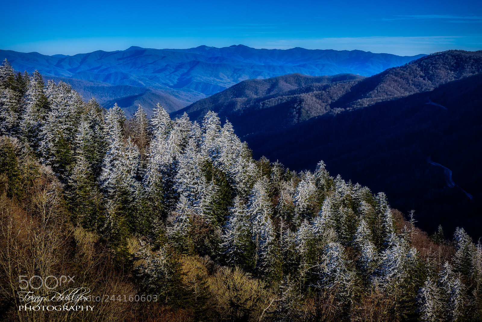 Nikon D810 sample photo. Newfound gap snow photography