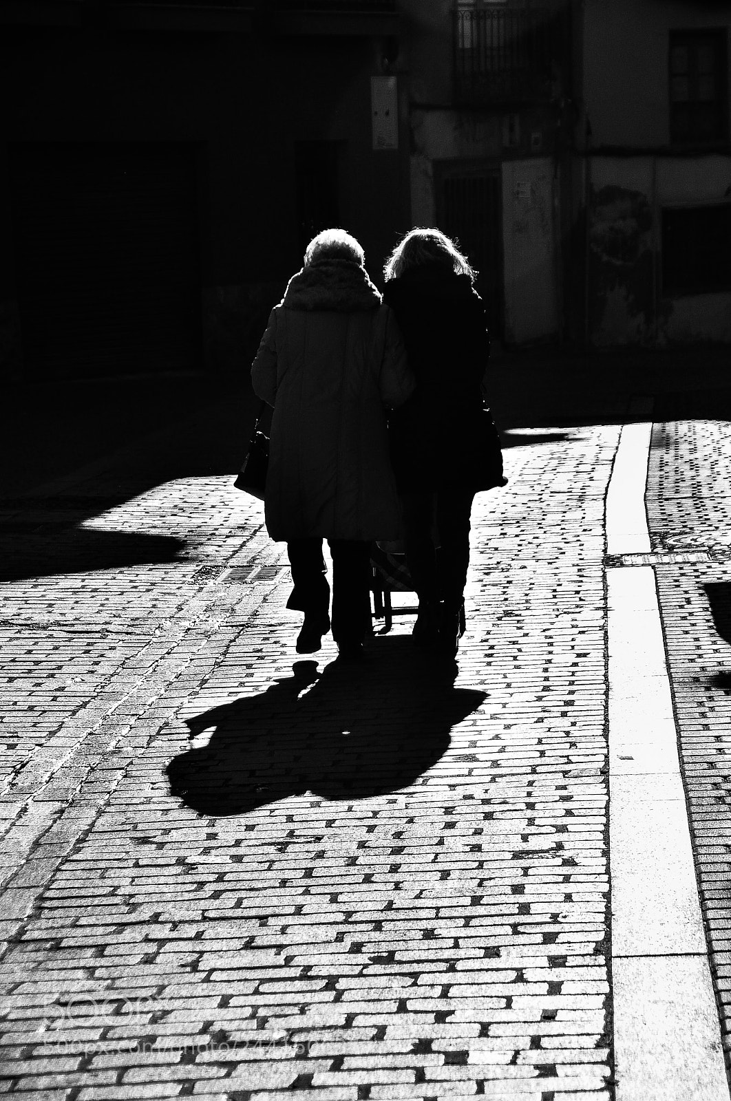 Nikon D500 sample photo. Anonimatos photography