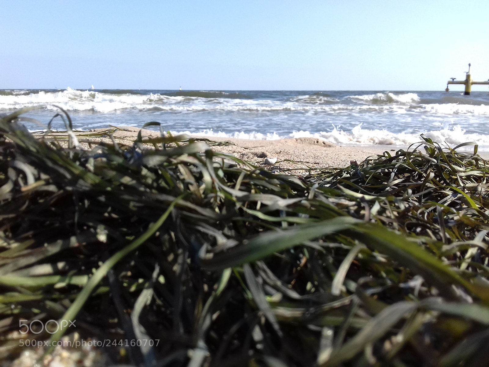 Samsung Galaxy J3(2016) sample photo. Untitled photography