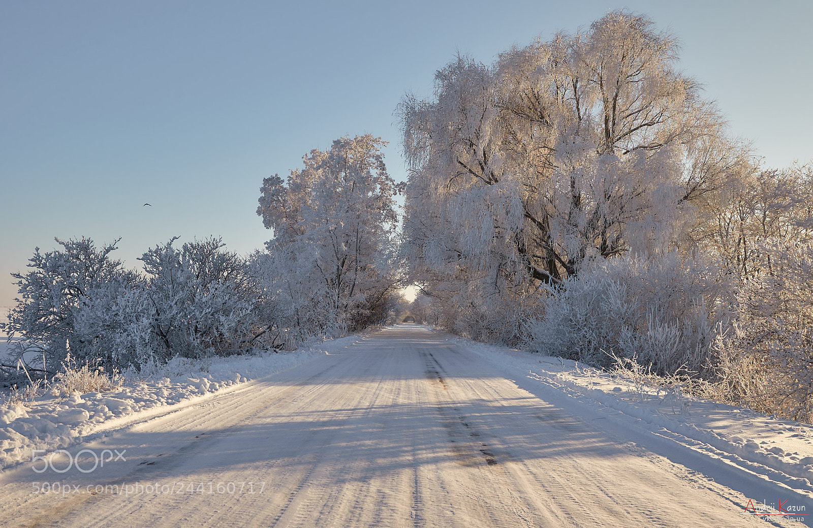 Nikon D300 sample photo. Winter snowy road photography