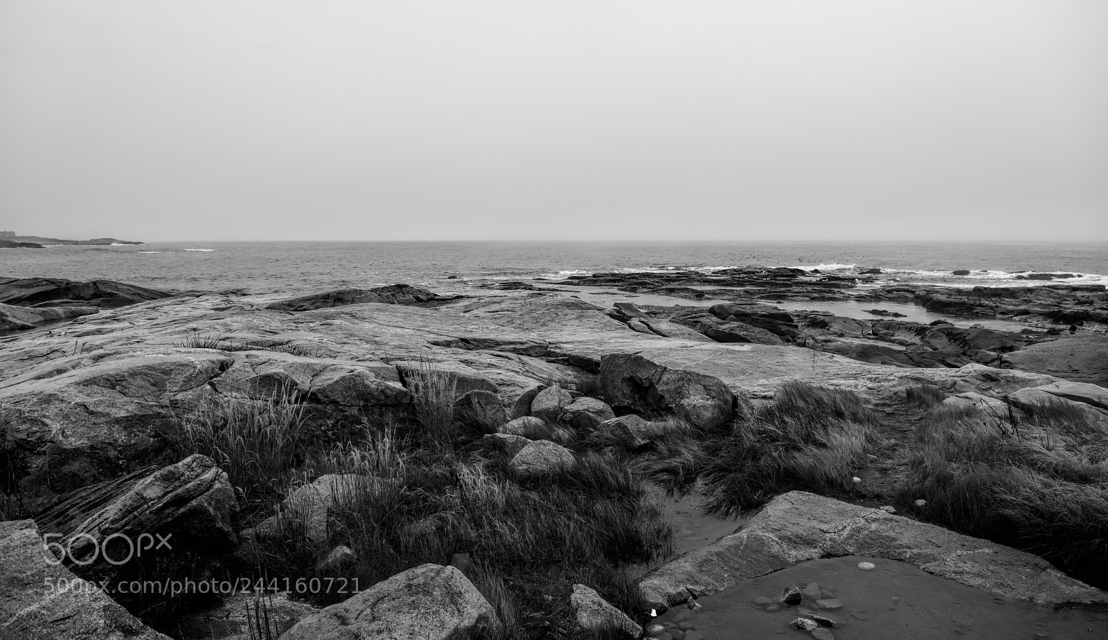 Nikon D810 sample photo. Bleak day photography