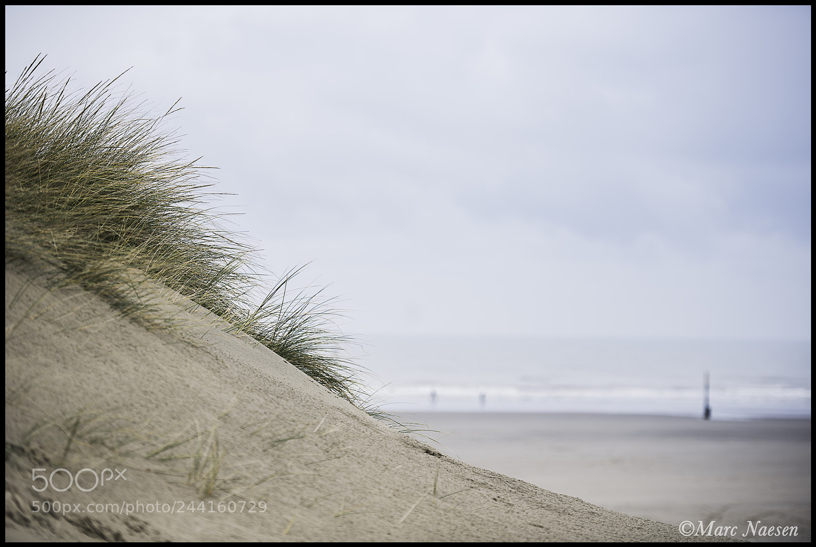Nikon D800 sample photo. Dune photography