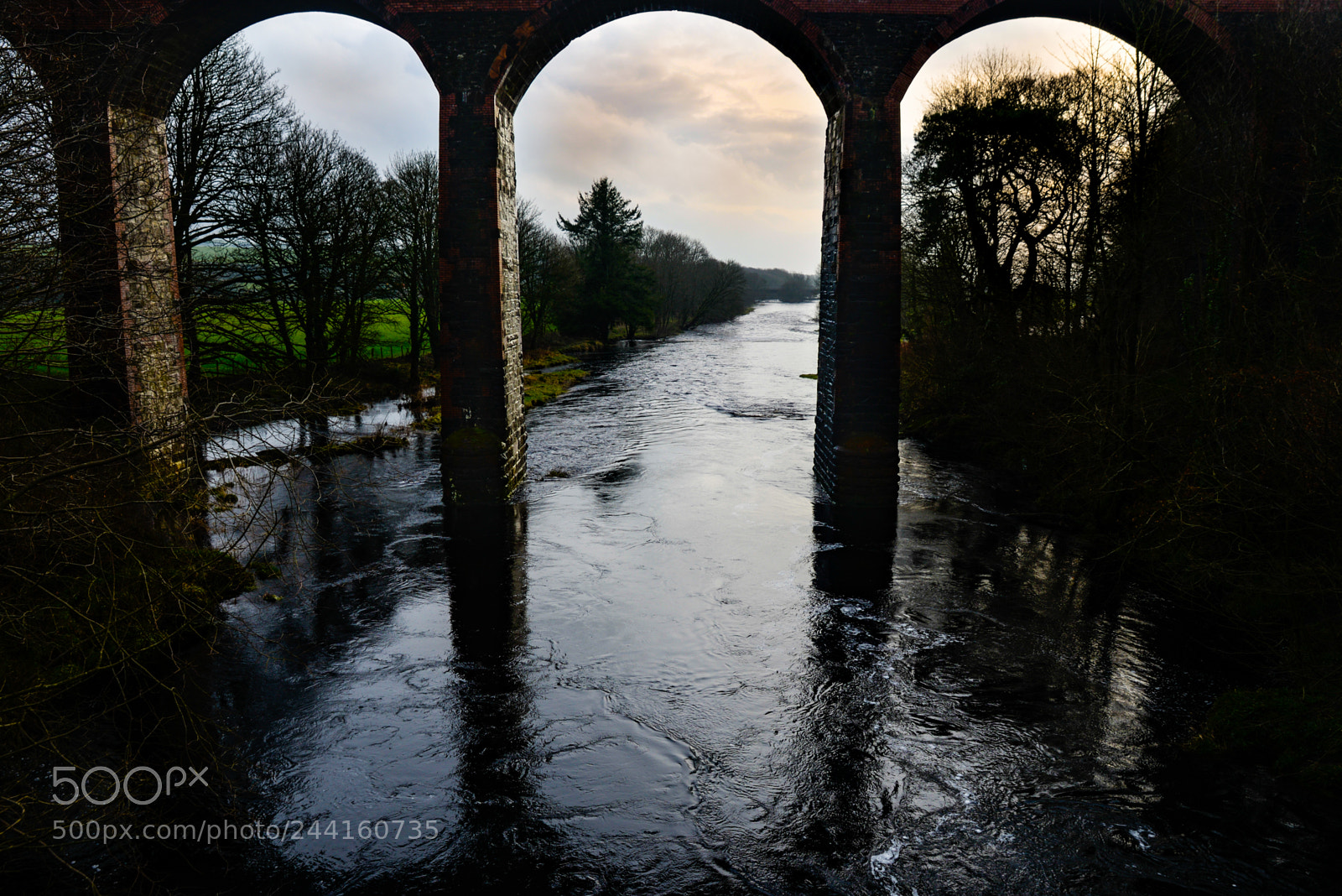 Nikon D610 sample photo. Viaduct over the river photography