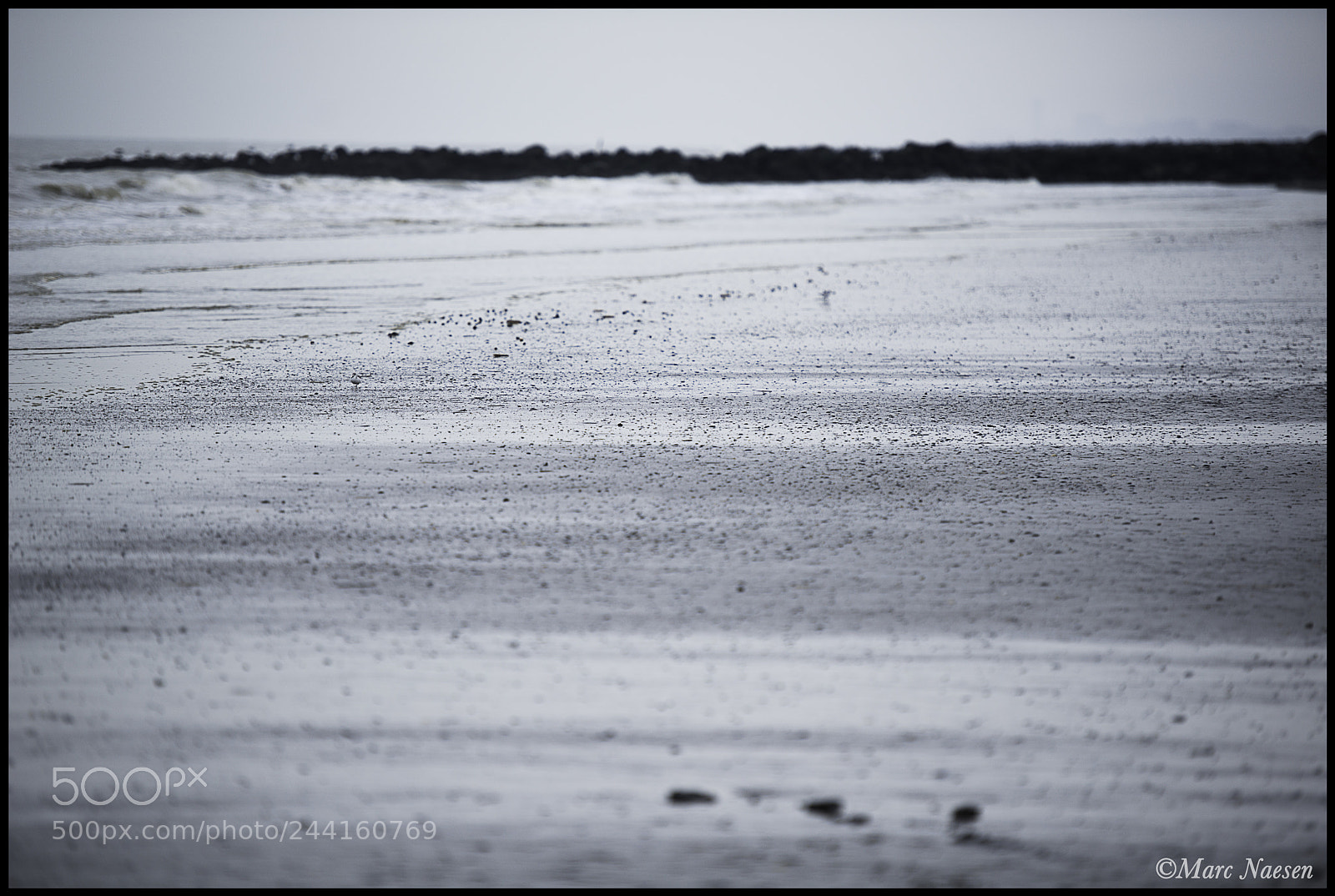 Nikon D800 sample photo. Coastline photography