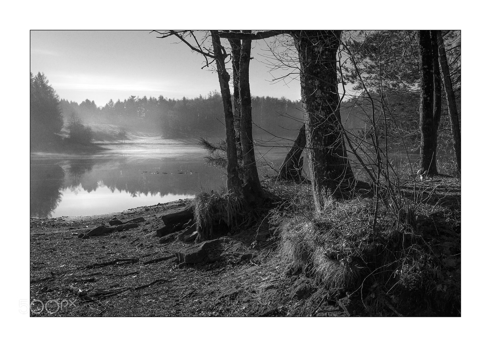 Nikon D3S sample photo. Sans titre photography