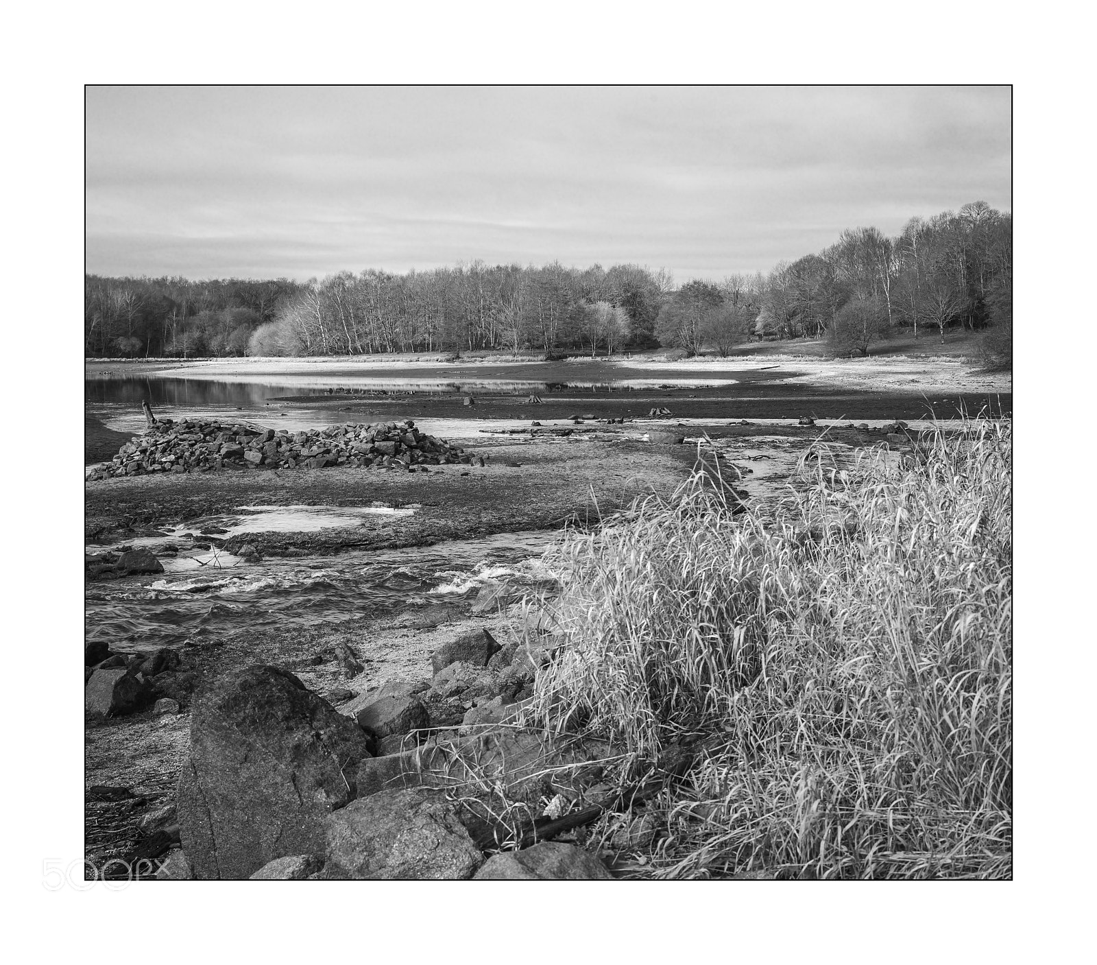 Nikon D3S sample photo. Sans titre photography