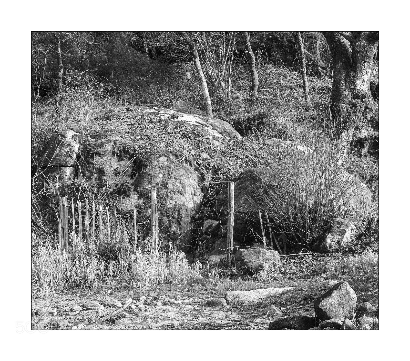 Nikon D3S sample photo. Sans titre photography