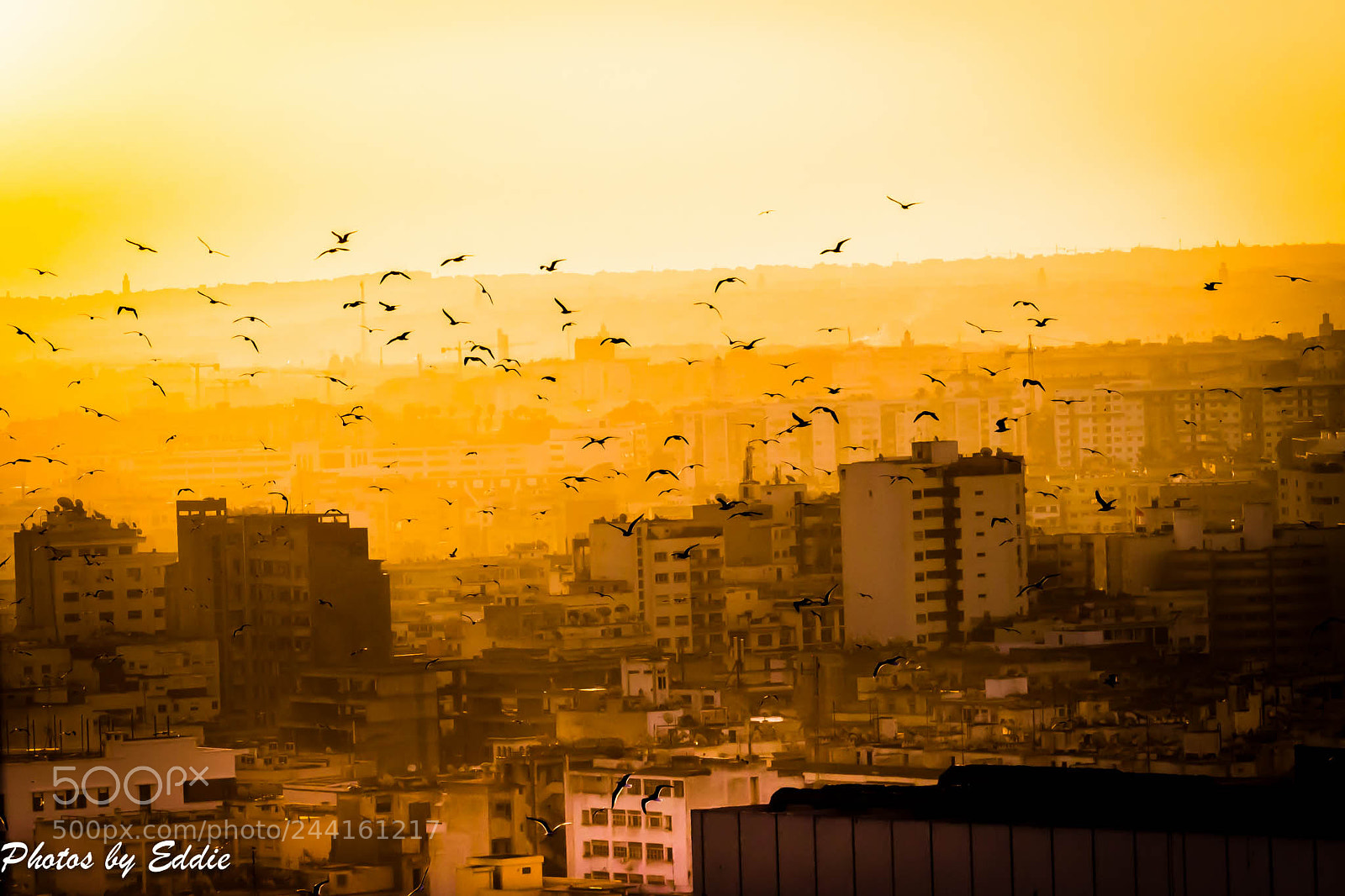 Olympus OM-D E-M1 Mark II sample photo. Dusk casablanca photography
