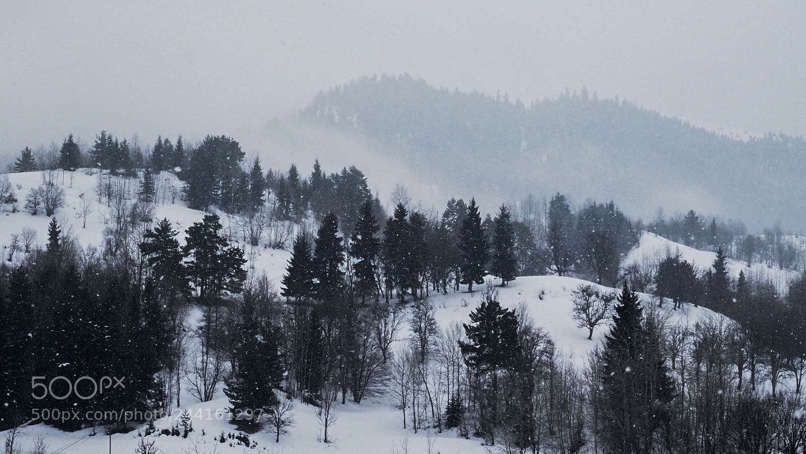 Olympus OM-D E-M1 Mark II sample photo. Winter photography