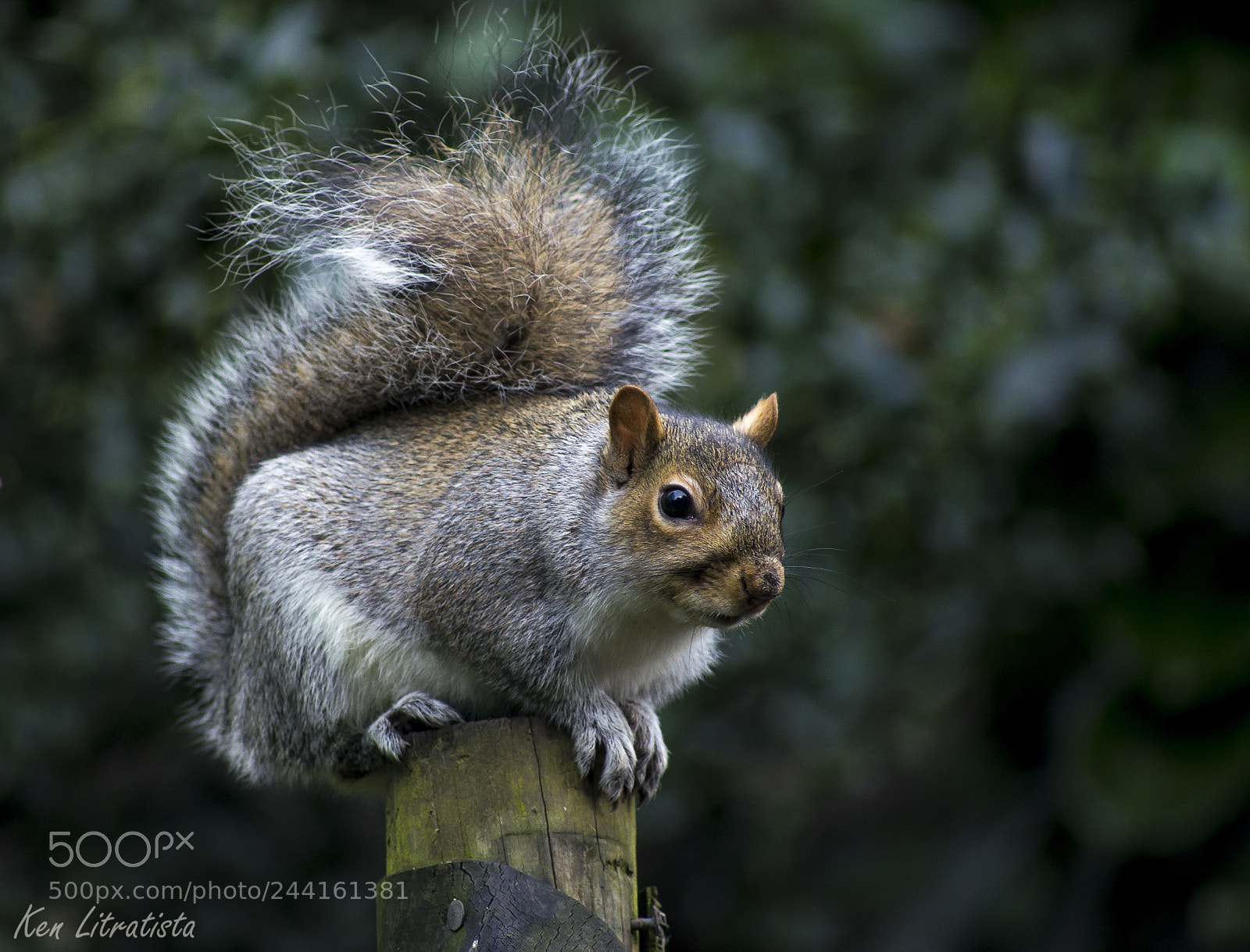 Pentax K-5 sample photo. Looking for food photography