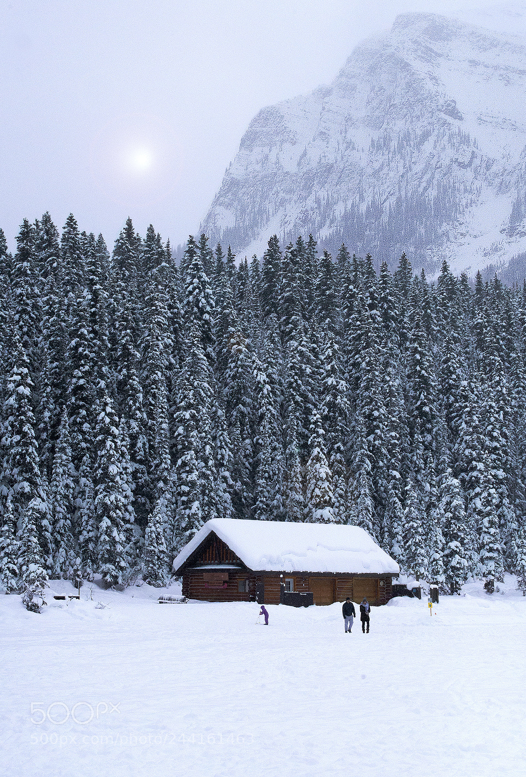 Nikon D610 sample photo. Winter at the chalet photography
