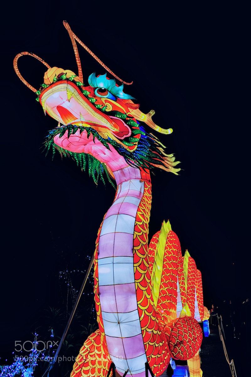 Fujifilm X-T2 sample photo. Dragon dublin zoo wild photography