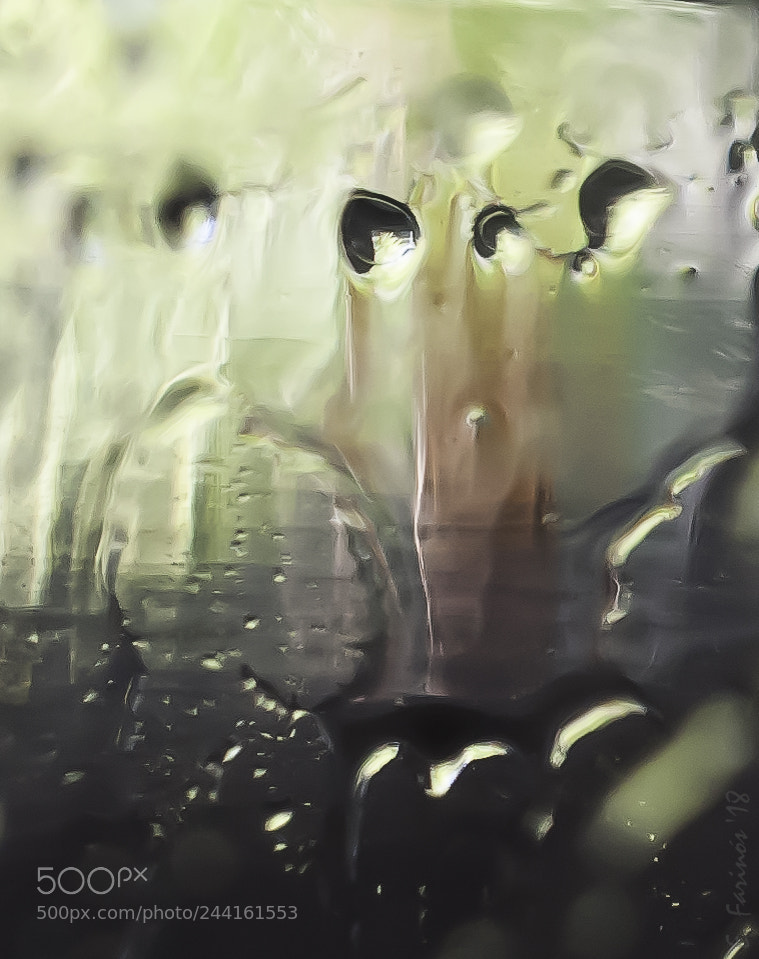 Nikon D300 sample photo. Efa photography