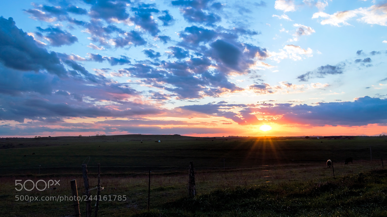 Nikon D3200 sample photo. Rural sunset photography