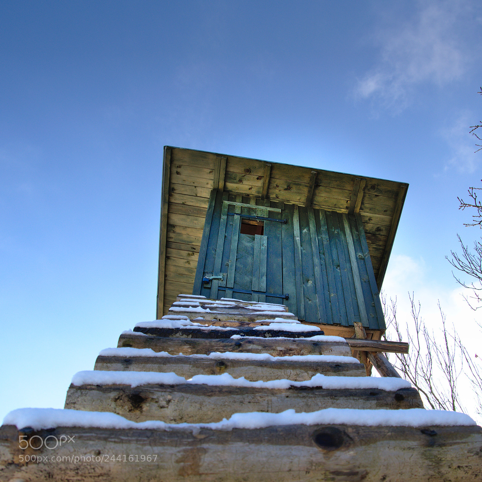 Nikon D3200 sample photo. Observer photography