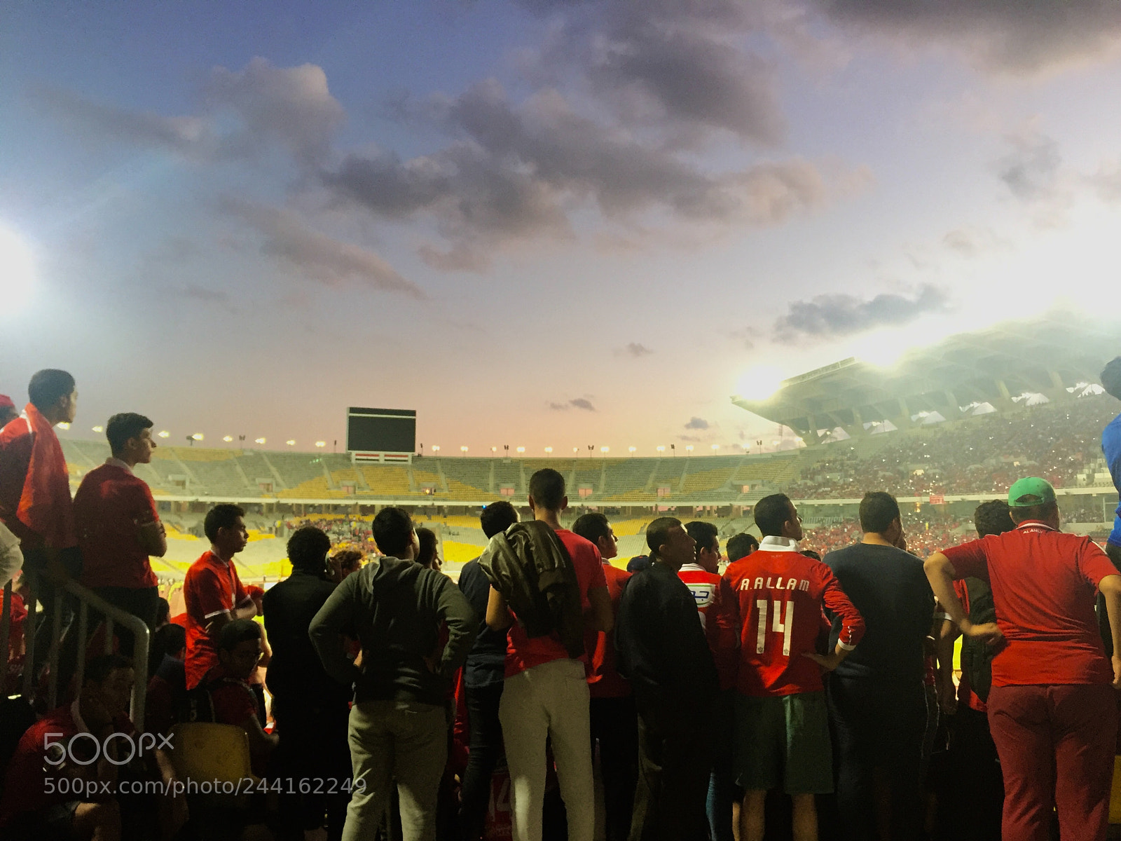 Apple iPhone 6 sample photo. Real supporter ?? photography
