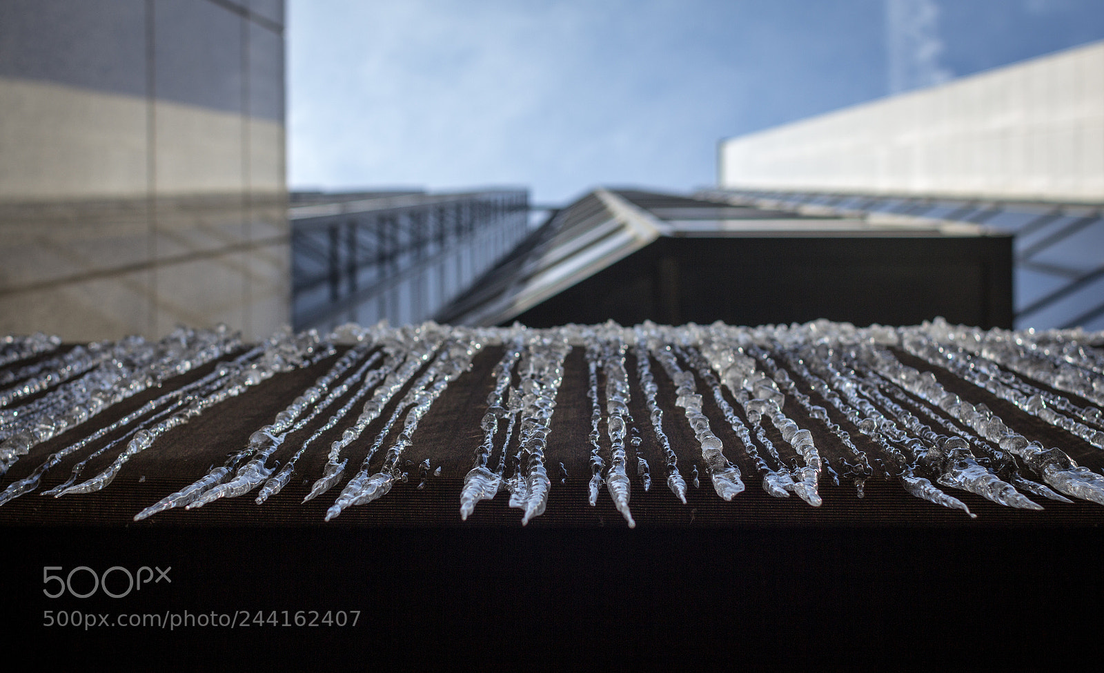 Canon EOS 60D sample photo. 083/365: icicles photography
