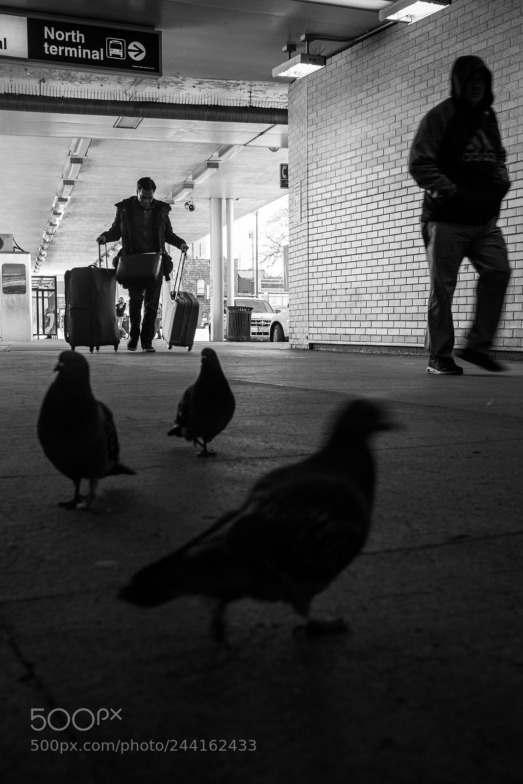 Canon EOS 60D sample photo. 040/365: to the airport photography