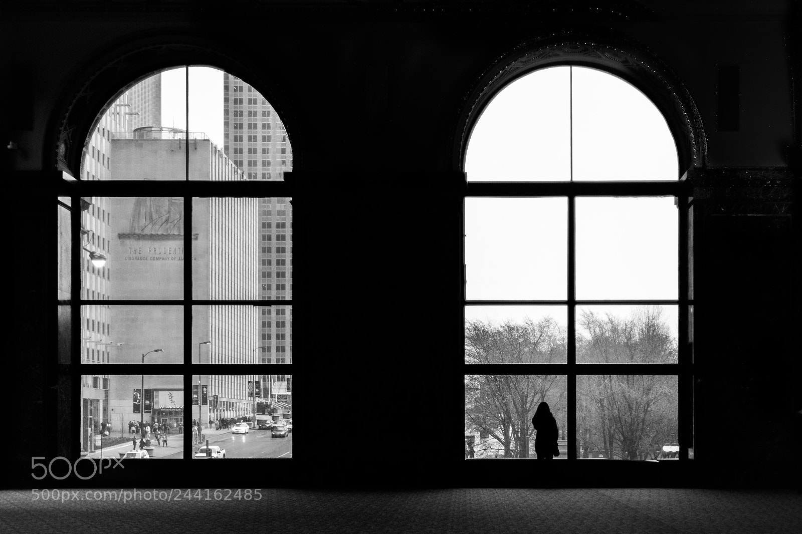 Canon EOS 60D sample photo. Looking outside, longingly photography
