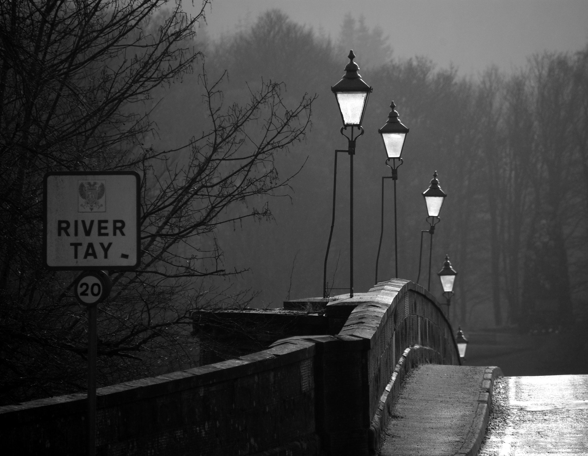 Pentax K200D sample photo. Catching the light photography