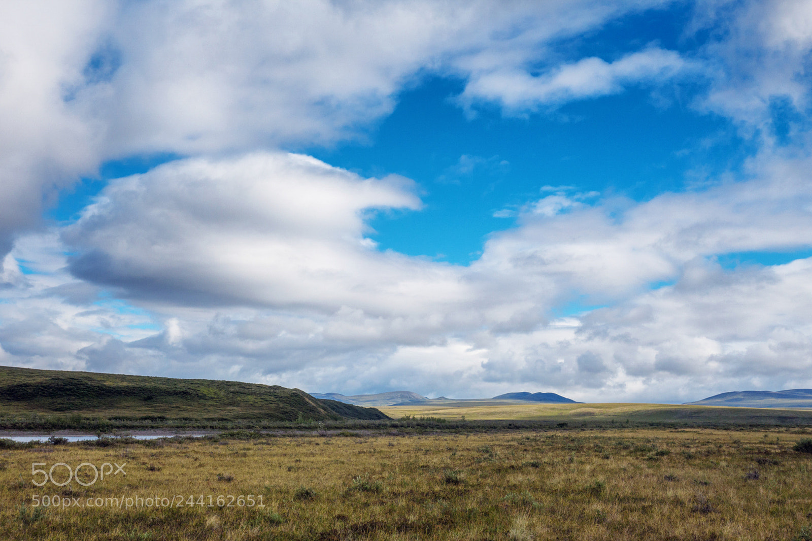 Sony Cyber-shot DSC-RX100 II sample photo. In the tundra photography