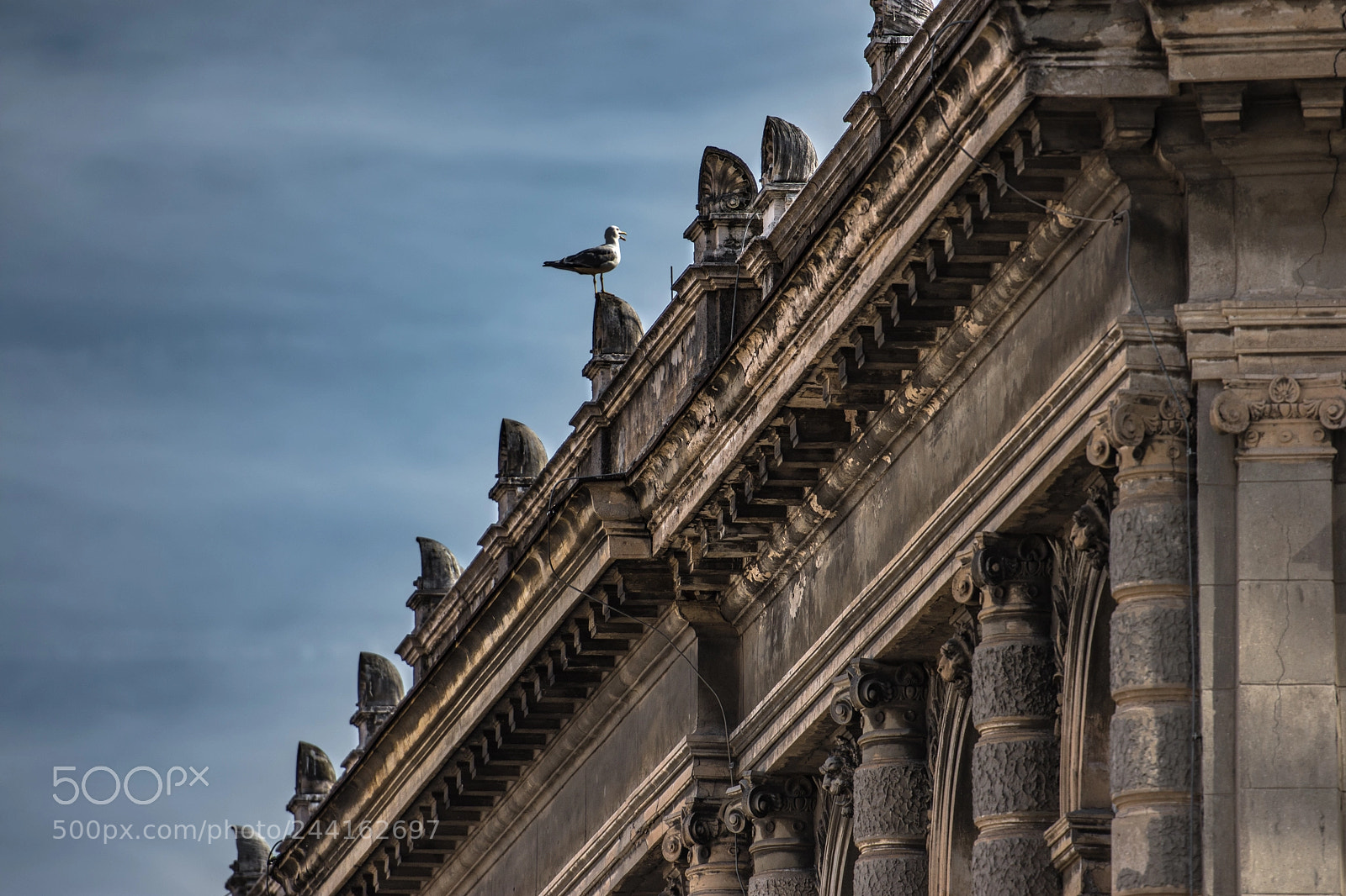 Nikon D7200 sample photo. City guardian photography