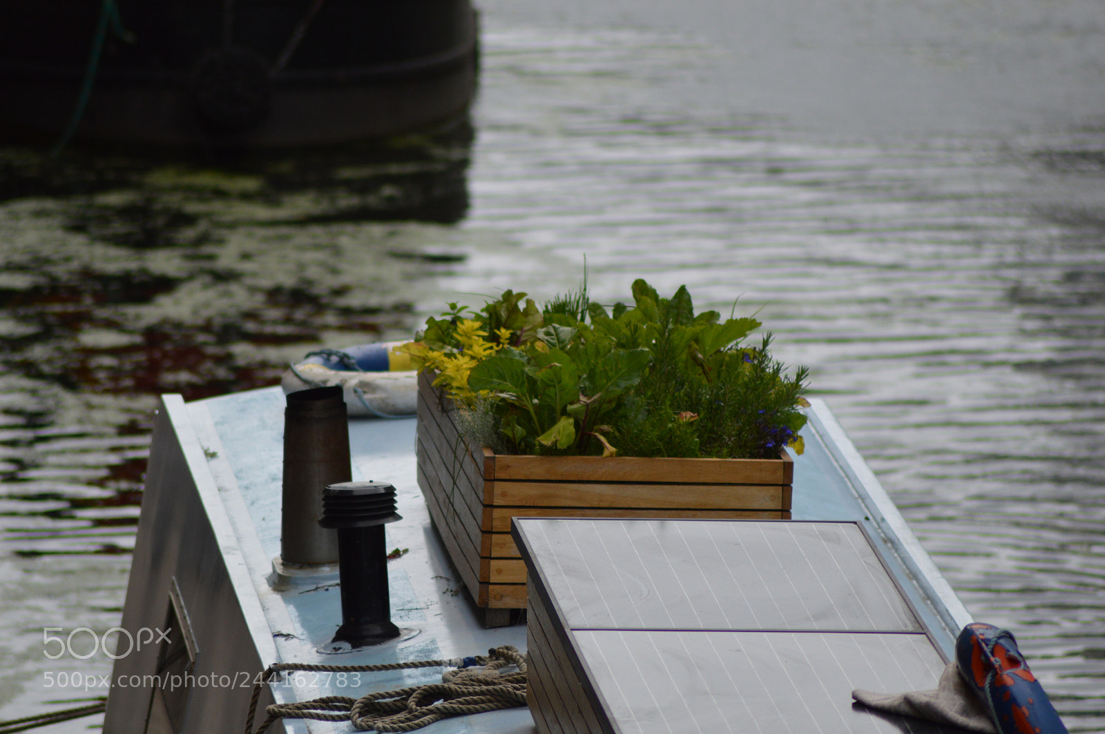 Nikon D3200 sample photo. Untitled photography