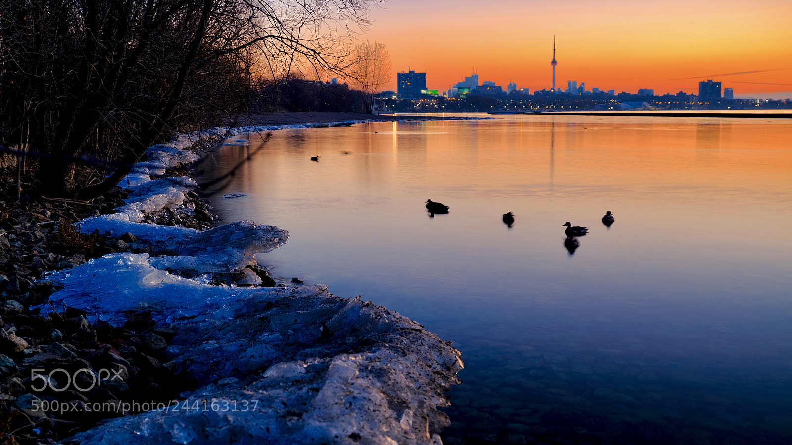 Fujifilm GFX 50S sample photo. Toronto s early morning photography