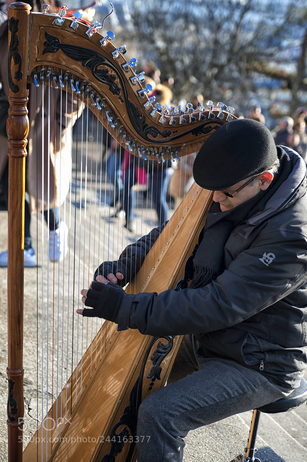 Fujifilm X-T2 sample photo. Harp player dscf8045-1.jpg photography