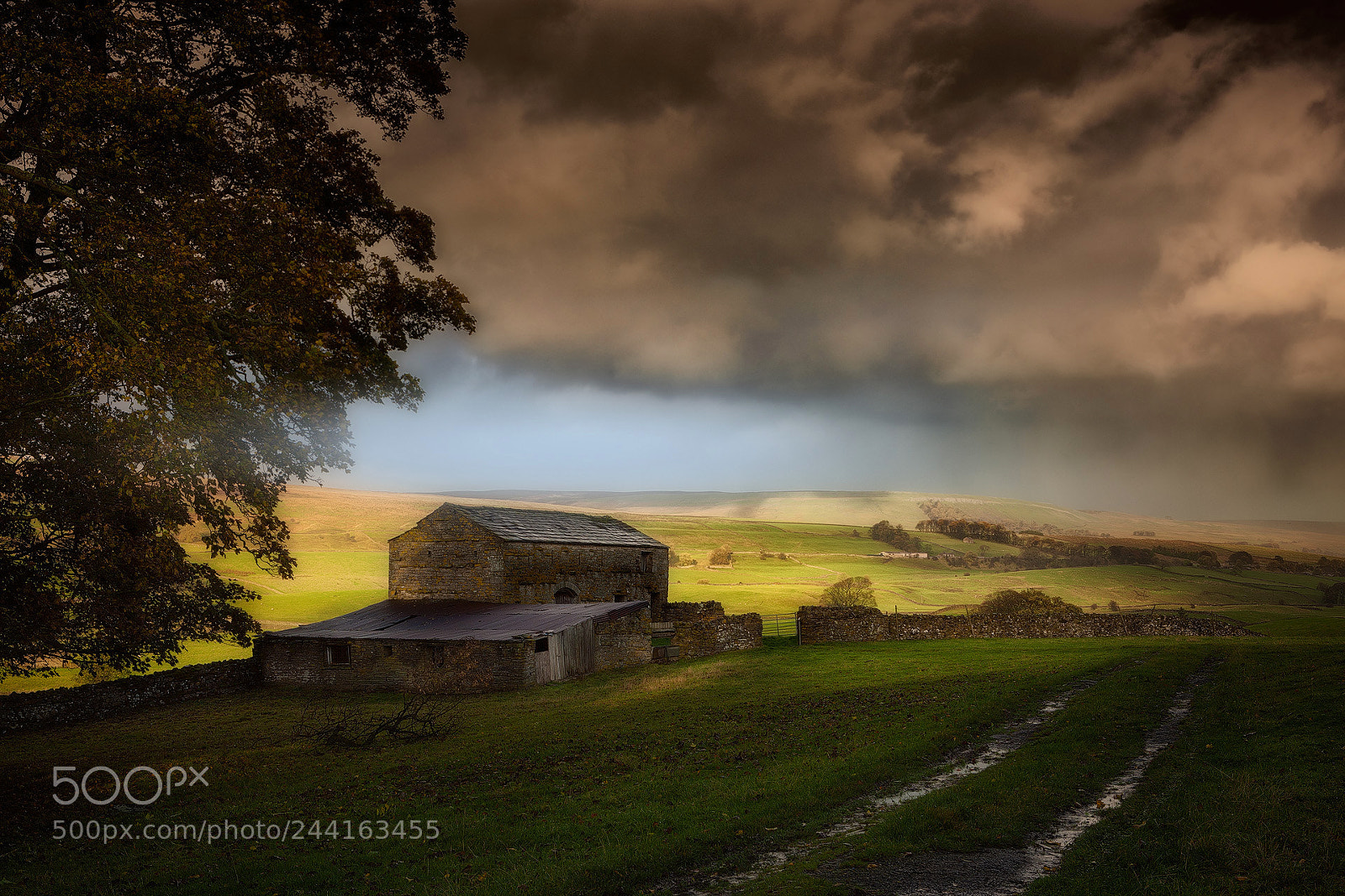 Canon EOS-1Ds Mark III sample photo. Yorkshire dales photography
