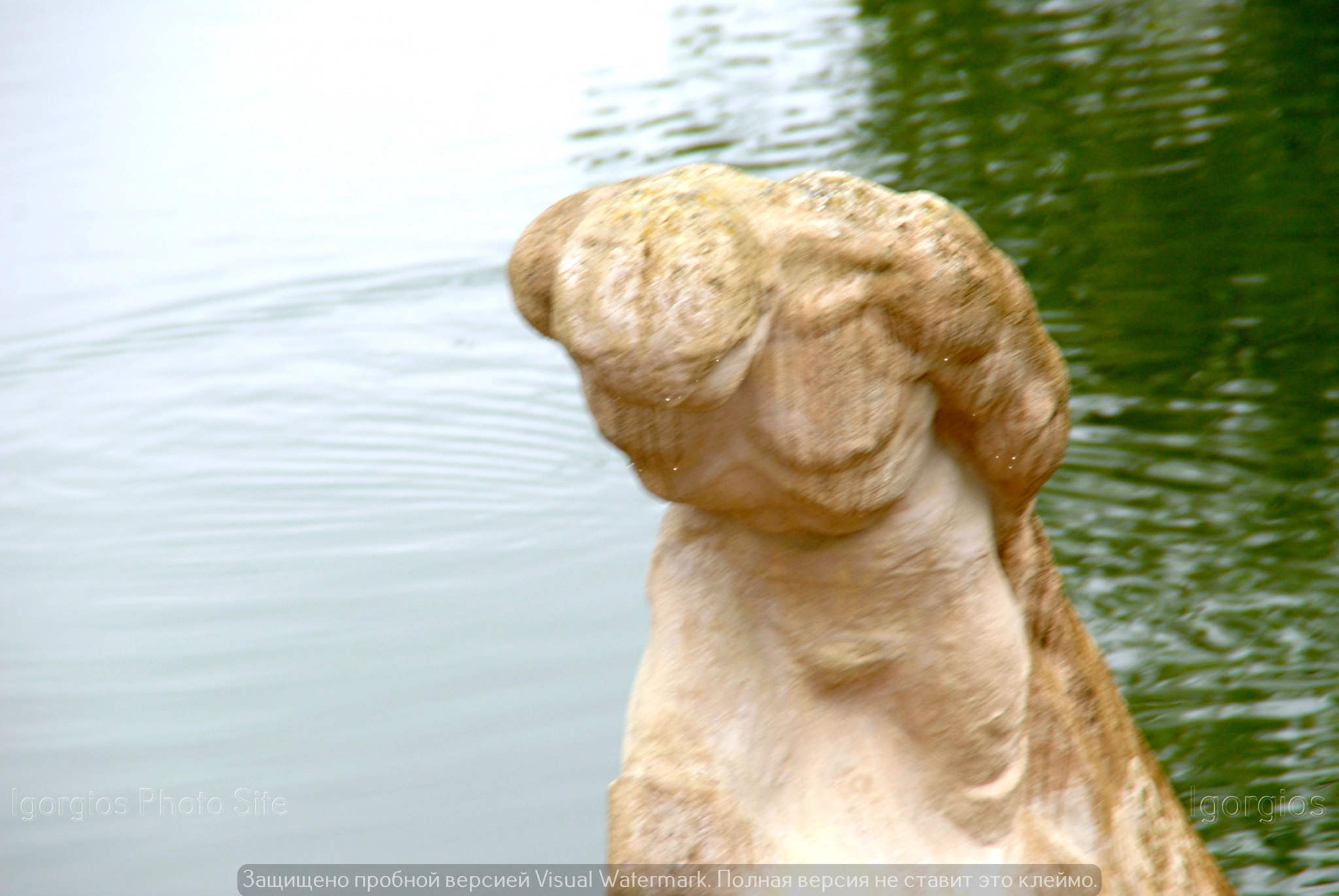 Nikon D200 sample photo. Dsc photography