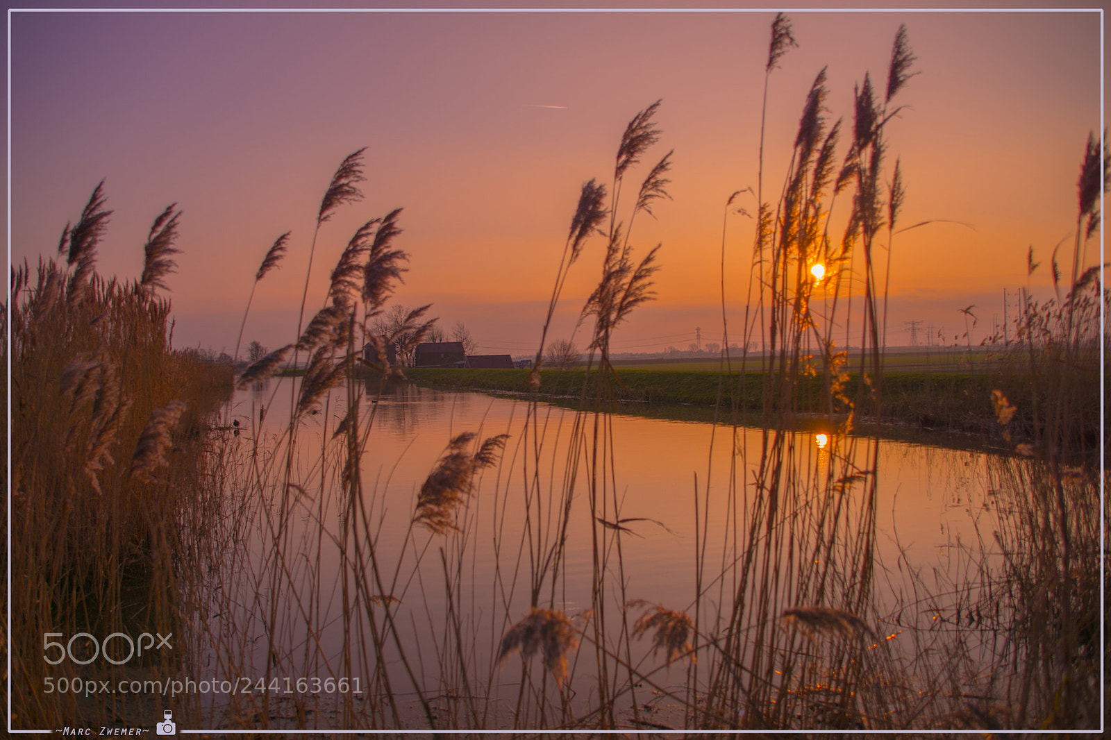 Sony ILCA-77M2 sample photo. Golden moments photography