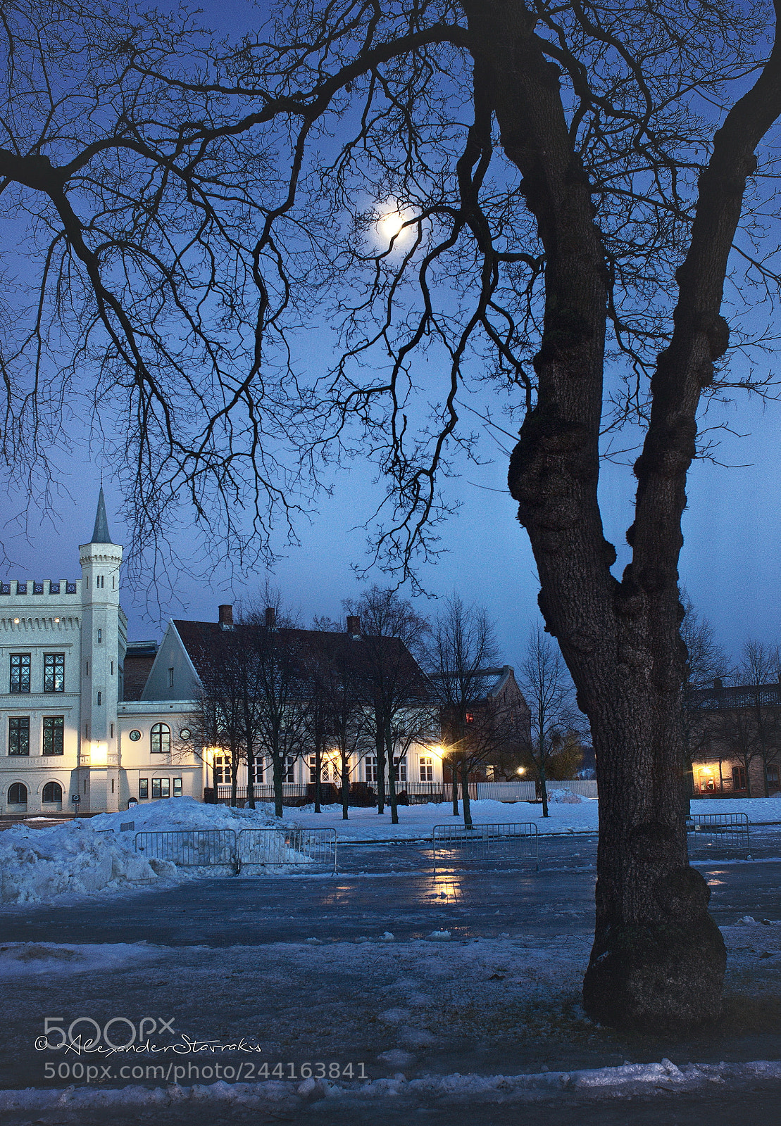Nikon D3100 sample photo. Frozen blue tunes... photography