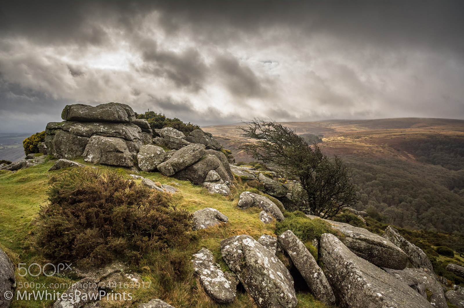Nikon D7100 sample photo. Moody mel tor photography